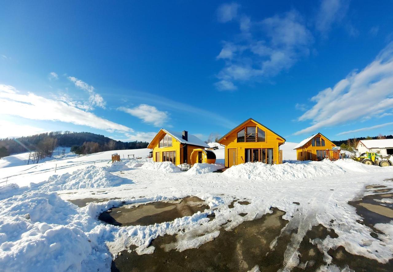 Lodge Pod Bukowym Lasem Wankowa